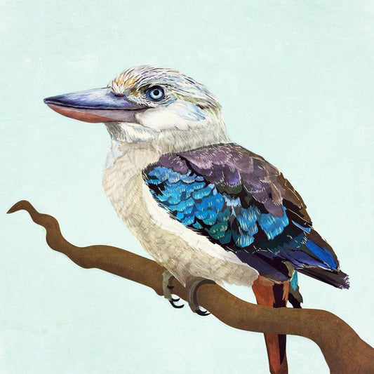 Kookaburra | Diamond Painting