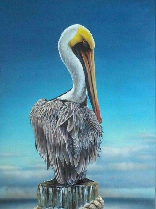 Pelican | Diamond Painting