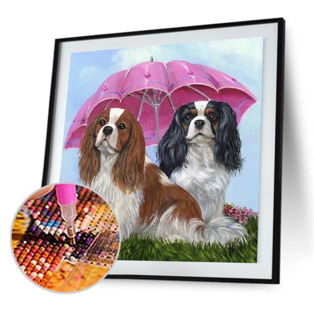 Umbrella Dog Cavalier King Charles Spaniel | Diamond Painting