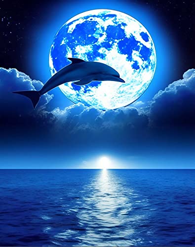 Dolphin | Cross Stitch Embroidery