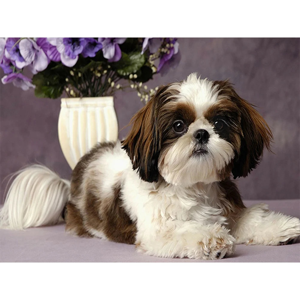Dog Shih Tzu | Cross Stitch Embroidery