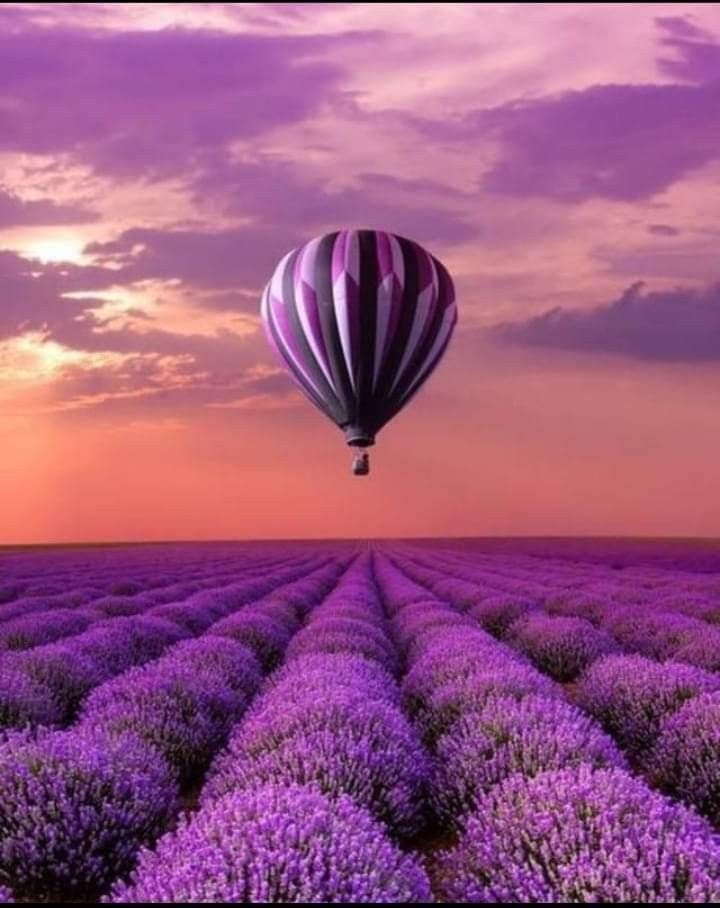 Hot Air Balloon | Diamond Painting