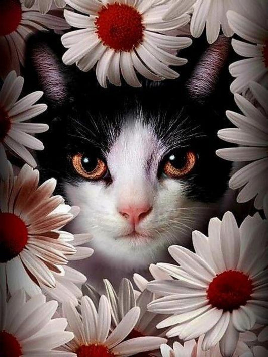 Tuxedo Cat  | Diamond Painting