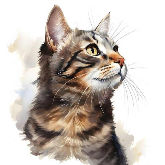 Tabby Cat | Diamond Painting