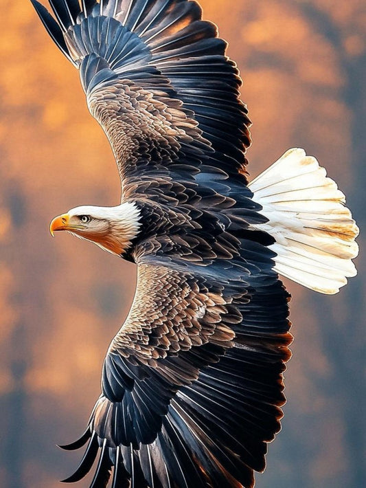 Eagle | Diamond Painting