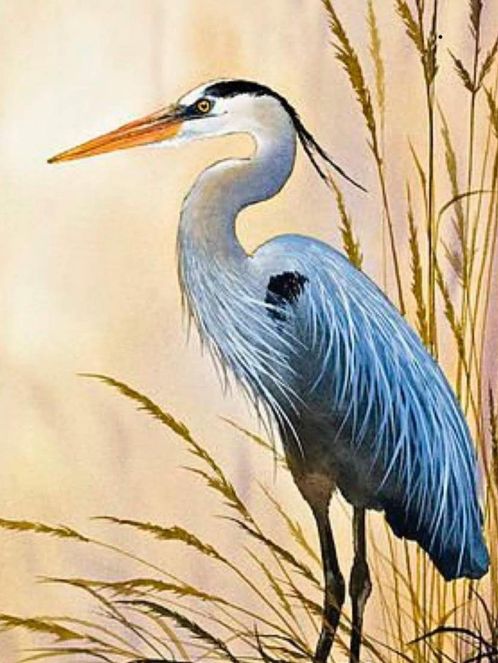 Blue Heron | Diamond Painting