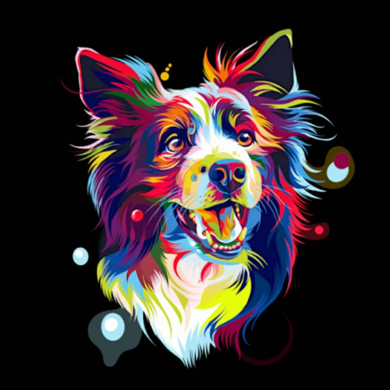 Dog Border Collie | Diamond Painting