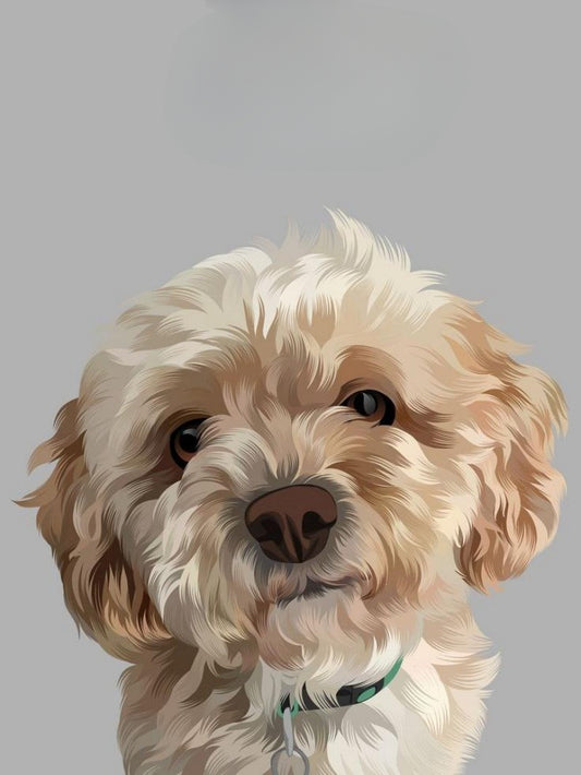 Poodle Dog | Diamond Painting