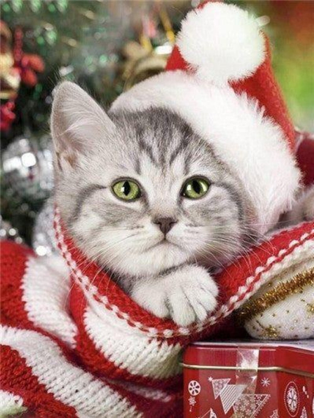 Christmas cat | Diamond Painting