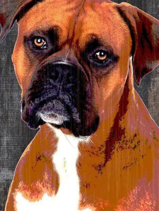Boxer Dog | Diamond Painting