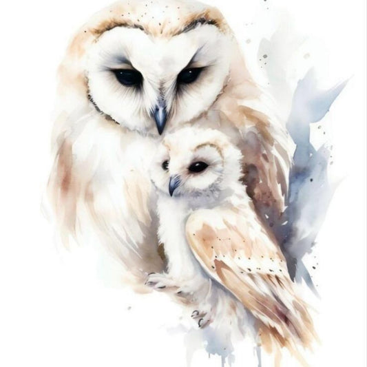 Barn Owl | Diamond Painting