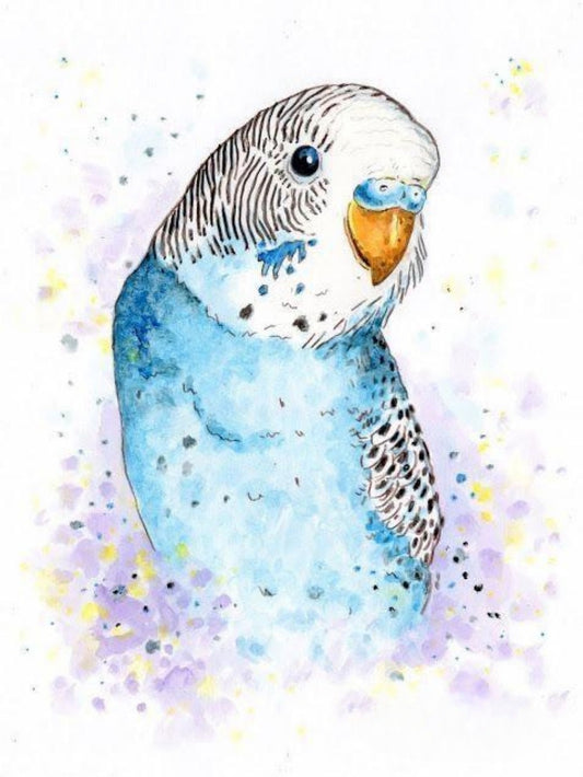 Budgie | Diamond Painting