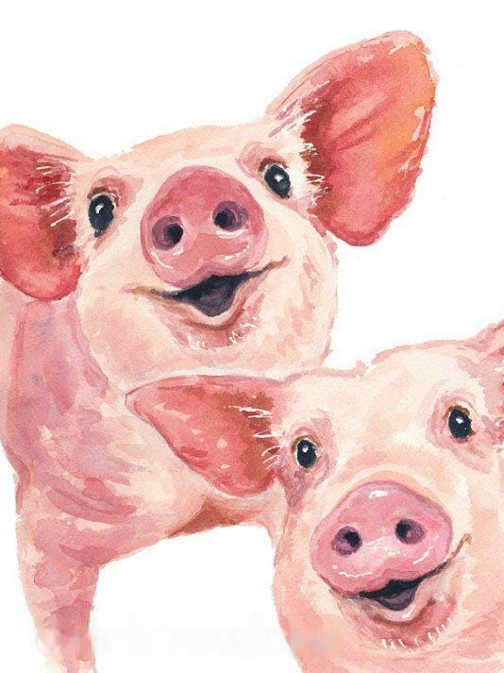 Pig | Diamond Painting