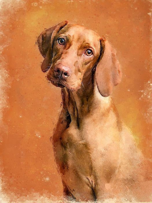 Vizsla Dog | Diamond Painting