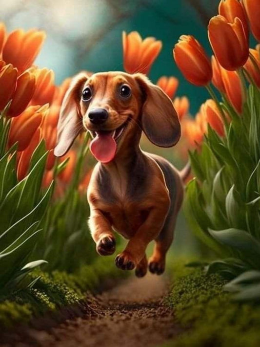 Dachshund Dog | Diamond Painting