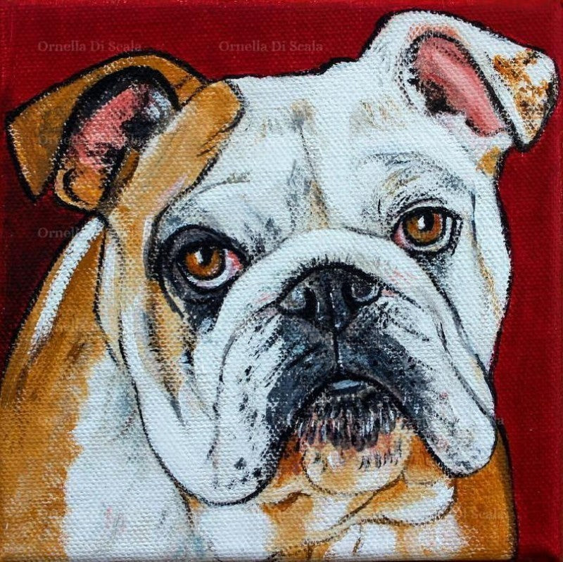 Dog English Bulldog | Diamond Painting