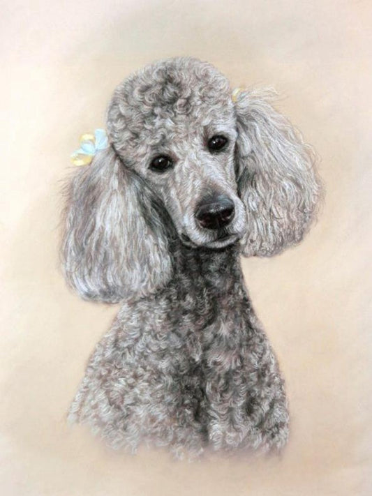 Poodle Dog | Diamond Painting
