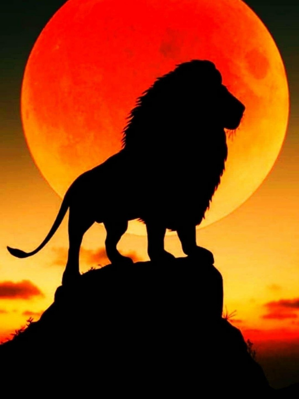 Lion | Diamond Painting