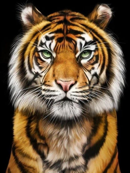 Bengal Tiger | Diamond Painting