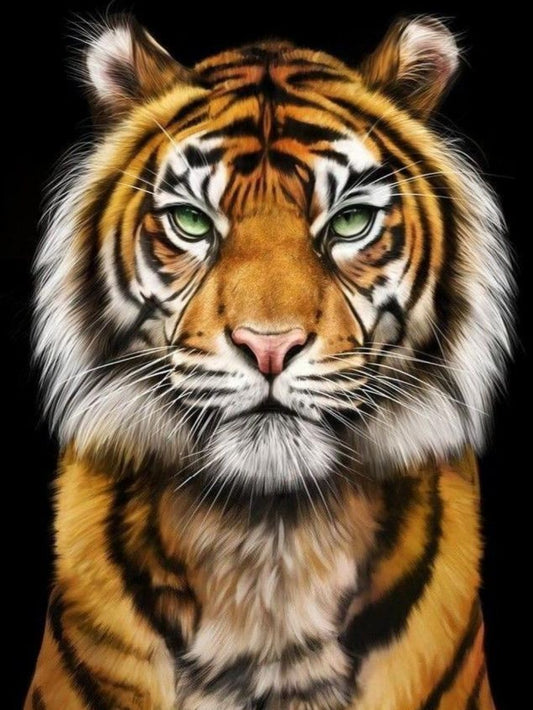 Bengal Tiger | Diamond Painting