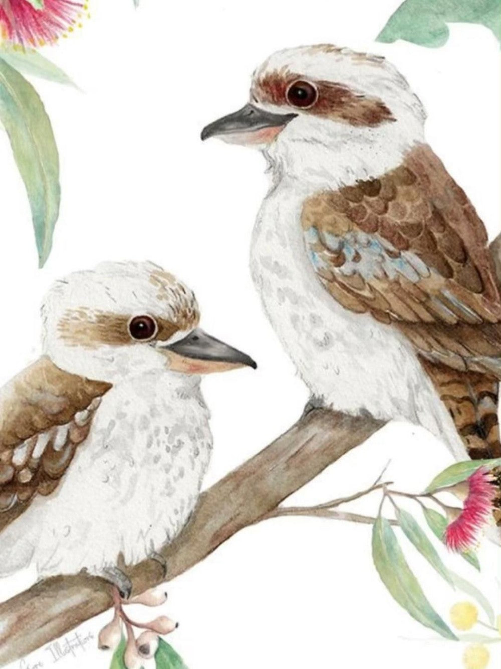 Kookaburra | Diamond Painting