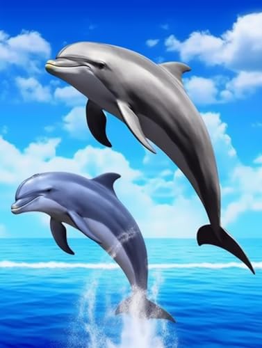 Dolphin | Cross Stitch Embroidery