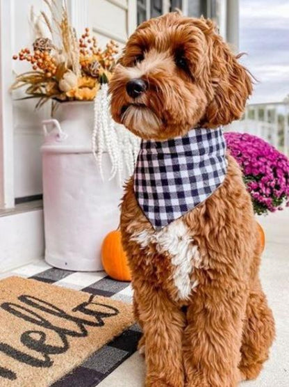 Goldendoodle Dog | Diamond Painting