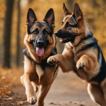 Dog German Shepherd | Diamond Painting