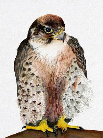 Falcon | Diamond Painting
