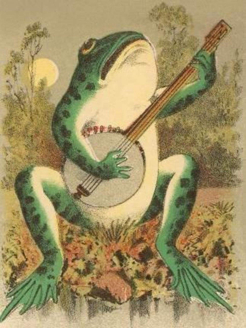 Frog | Diamond Painting