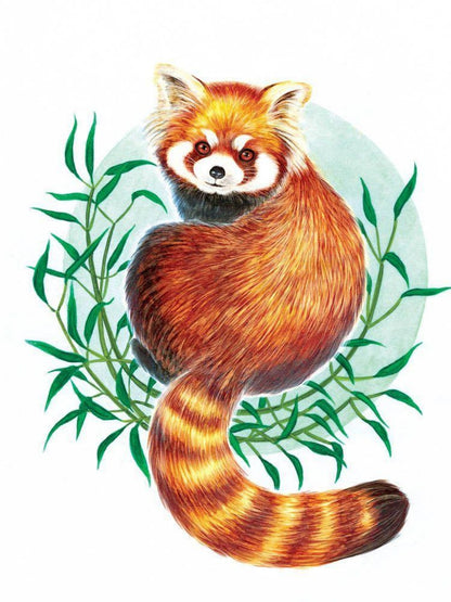 Red Panda | Diamond Painting