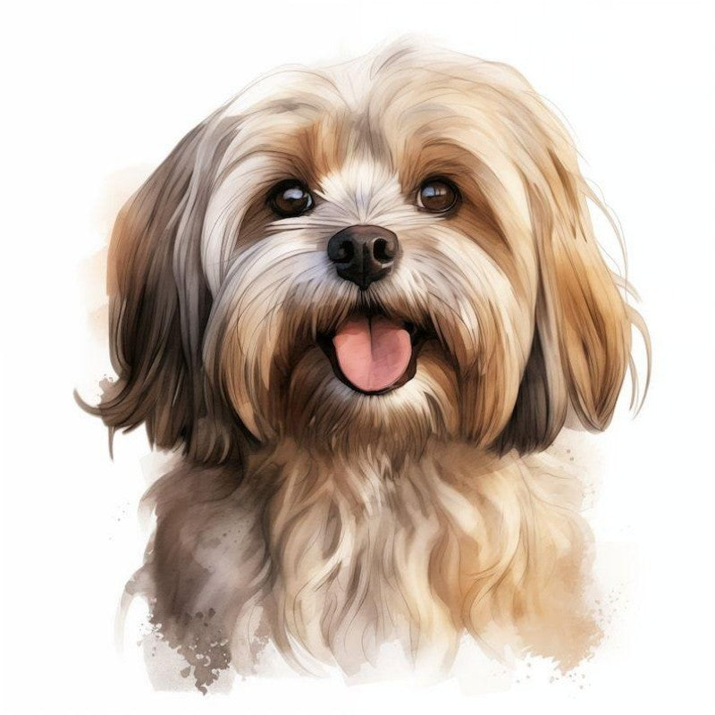 Havanese Dog | Diamond Painting