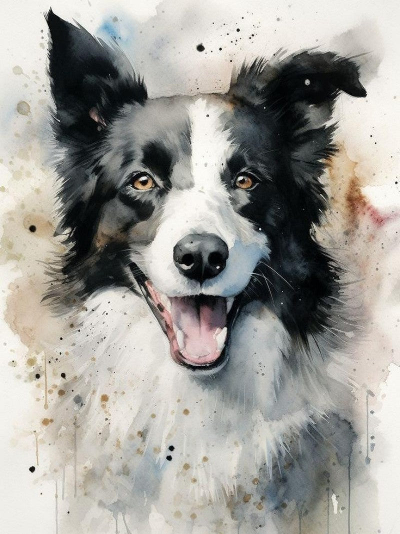 Dog Border Collie | Diamond Painting
