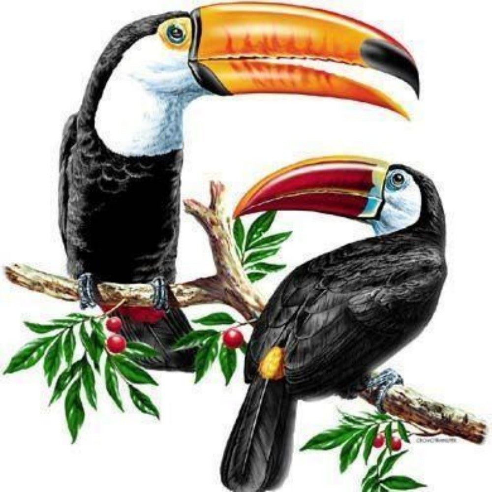 Toucan Bird | Diamond Painting