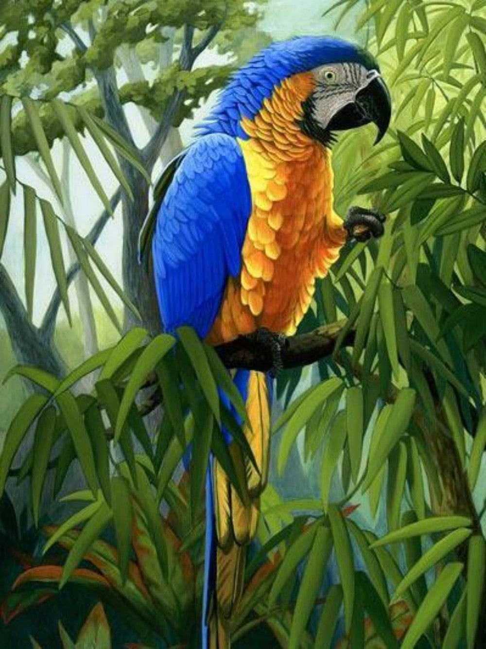 Macaw | Diamond Painting