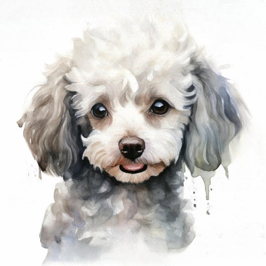 Poodle Dog | Diamond Painting