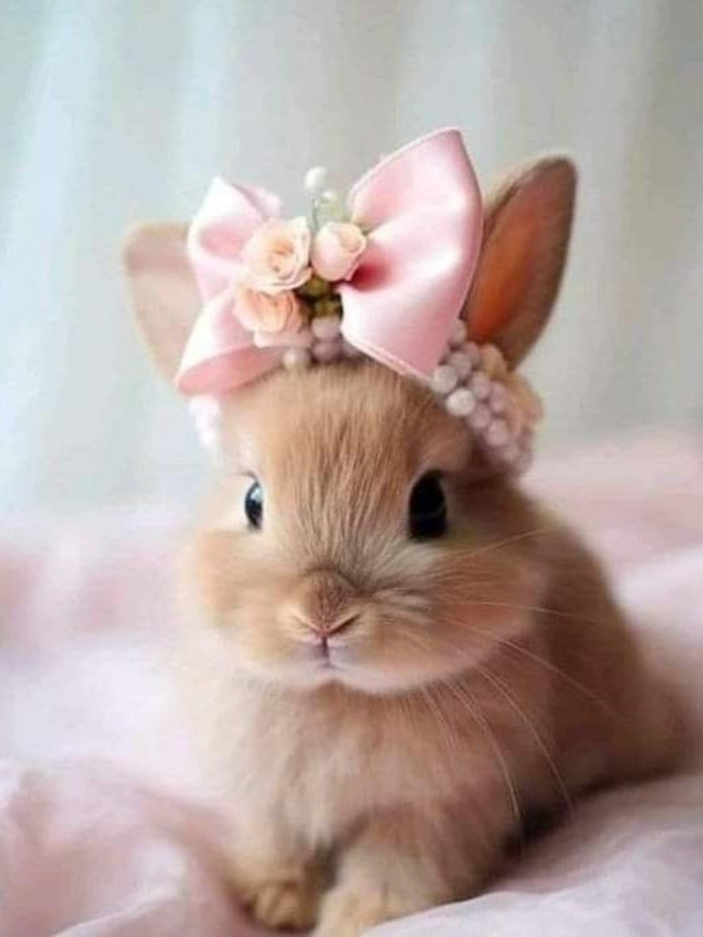 Rabbit | Diamond Painting