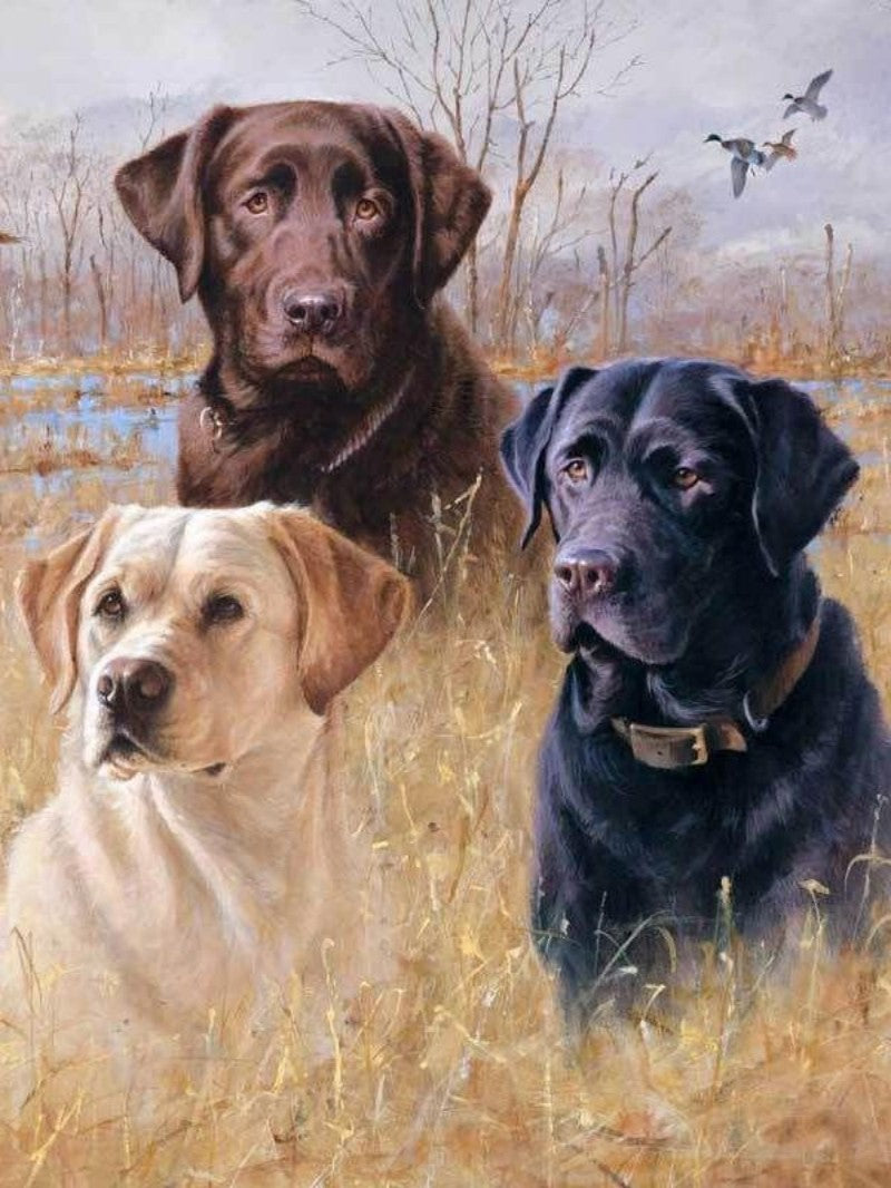 Cottage Garden Dog | Diamond Painting