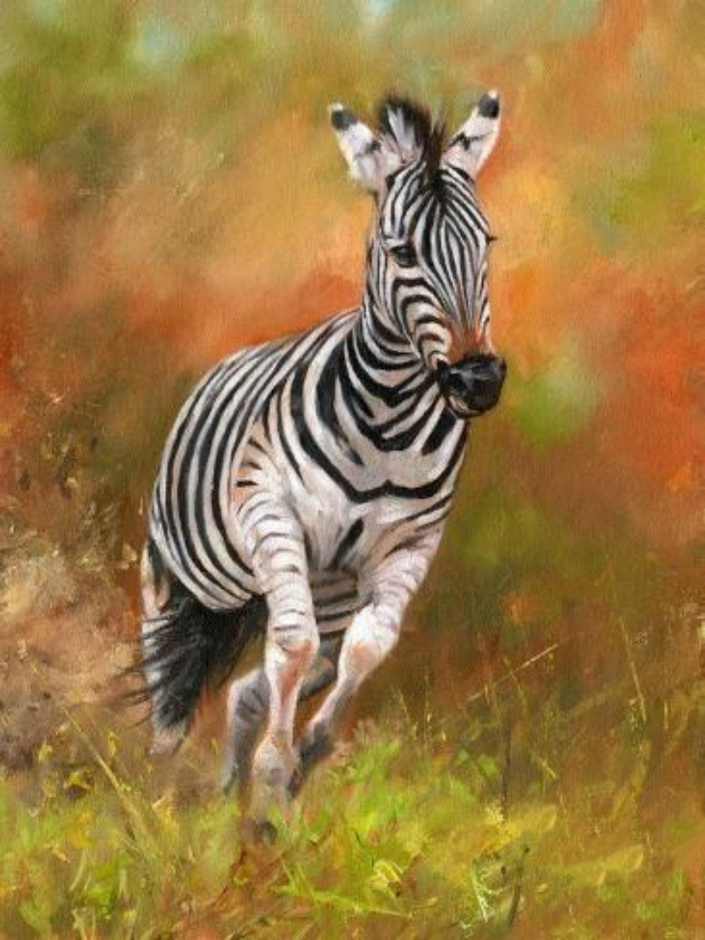 Zebra | Diamond Painting