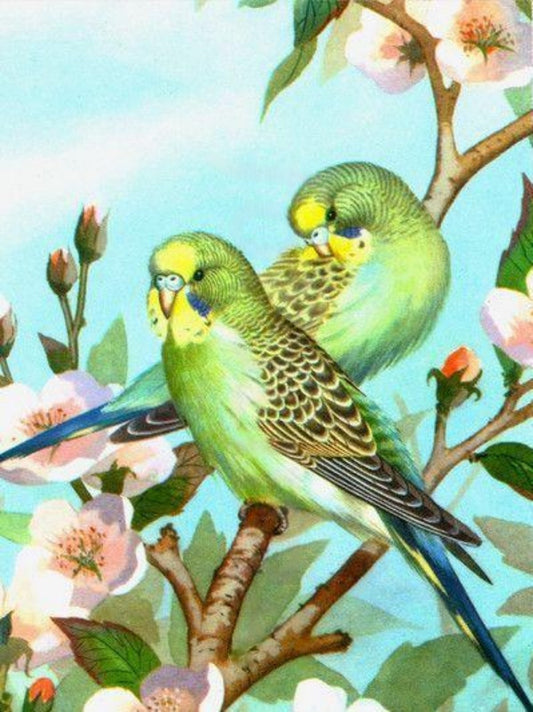 Budgie | Diamond Painting