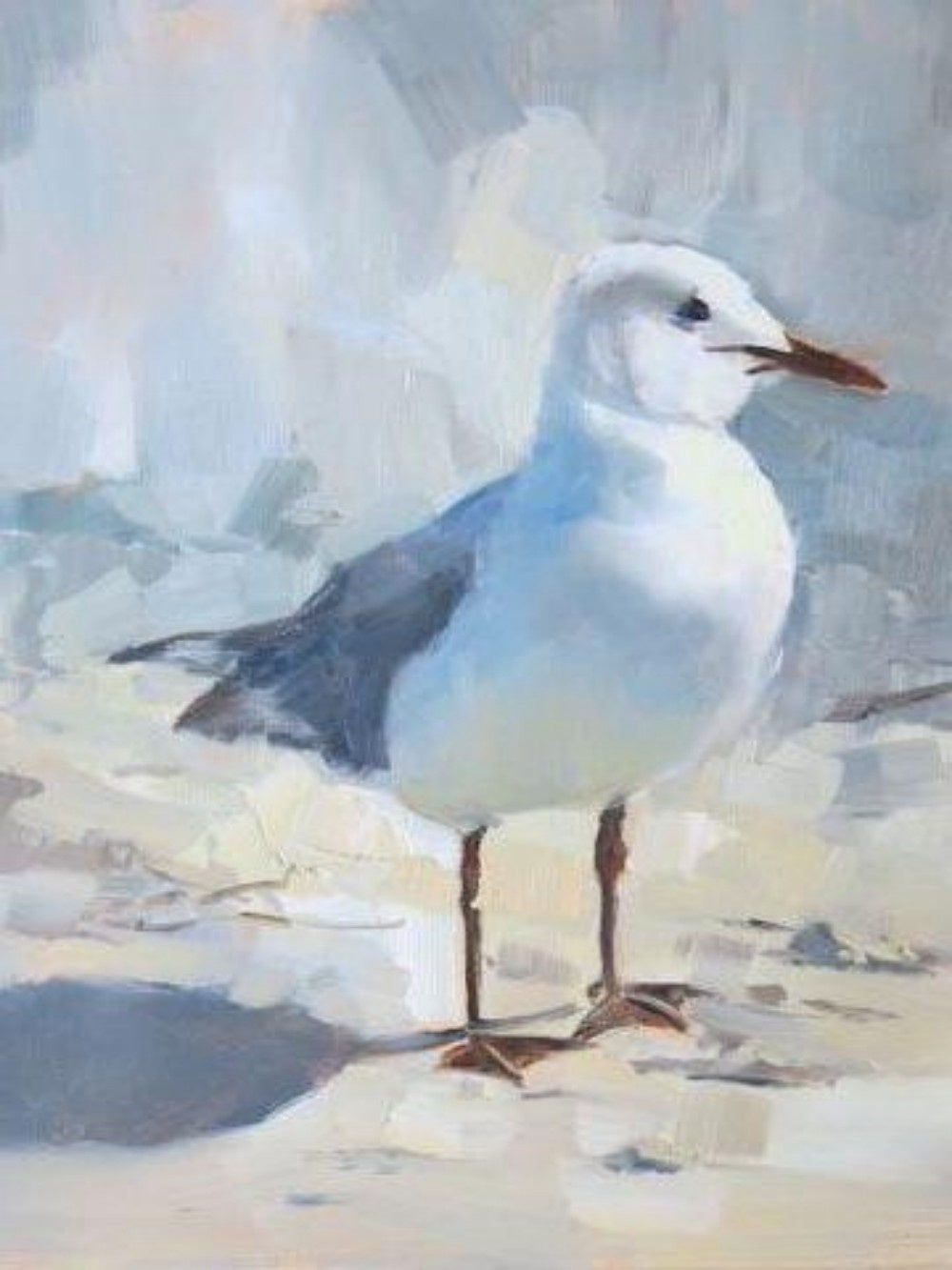 Gull | Diamond Painting