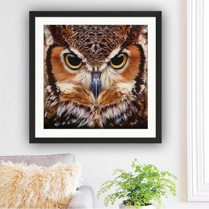 Owl | Diamond Painting