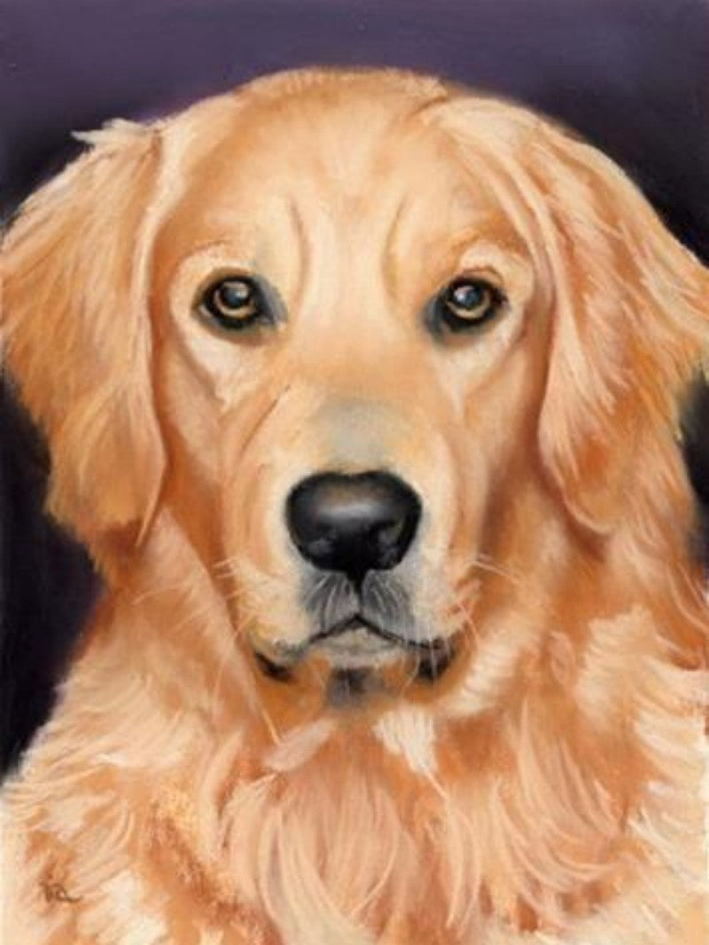 Yellow Labrador Dog | Diamond Painting