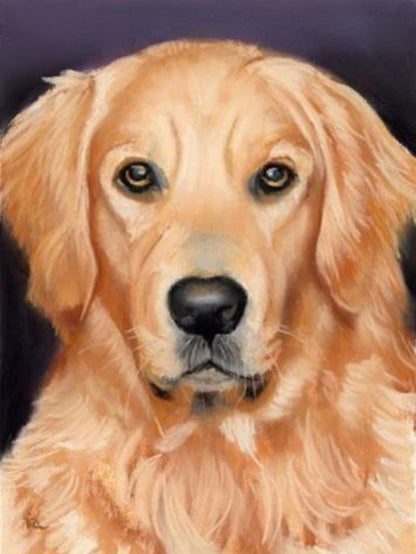 Yellow Labrador Dog | Diamond Painting
