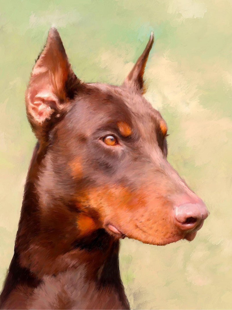 Dog Doberman | Diamond Painting