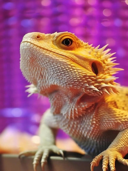 Bearded Dragon | Diamond Painting