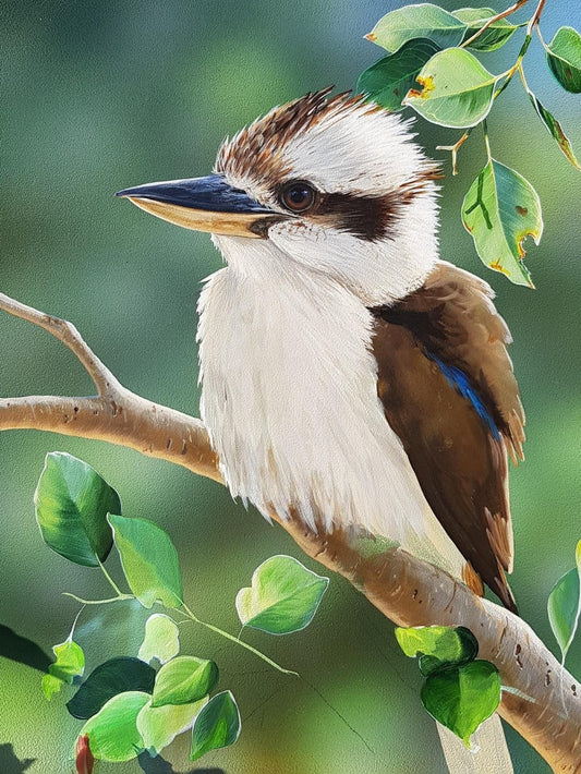 Kookaburra | Diamond Painting