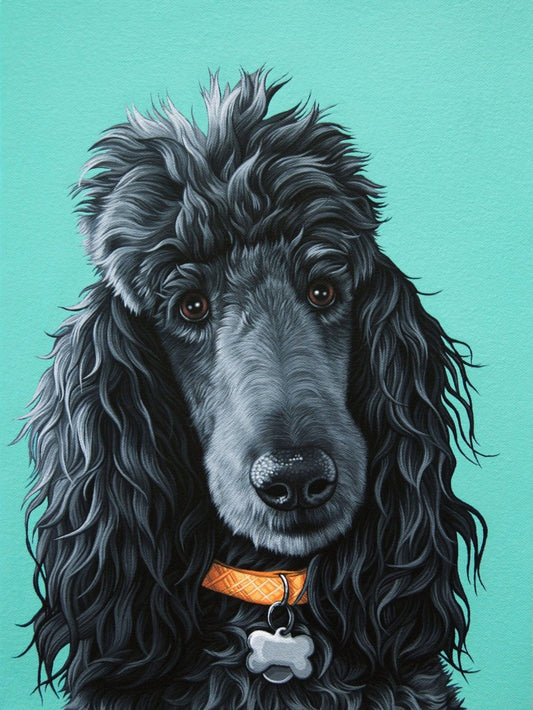Poodle Dog | Diamond Painting