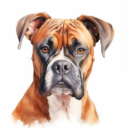 Boxer Dog | Diamond Painting