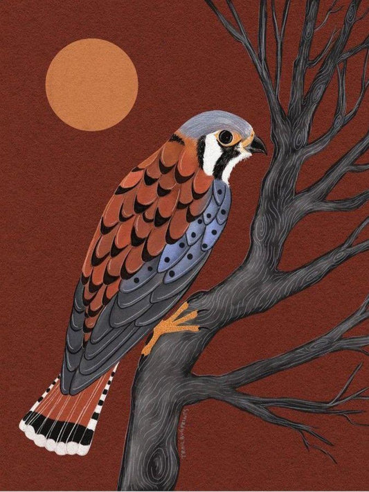 Falcon | Diamond Painting